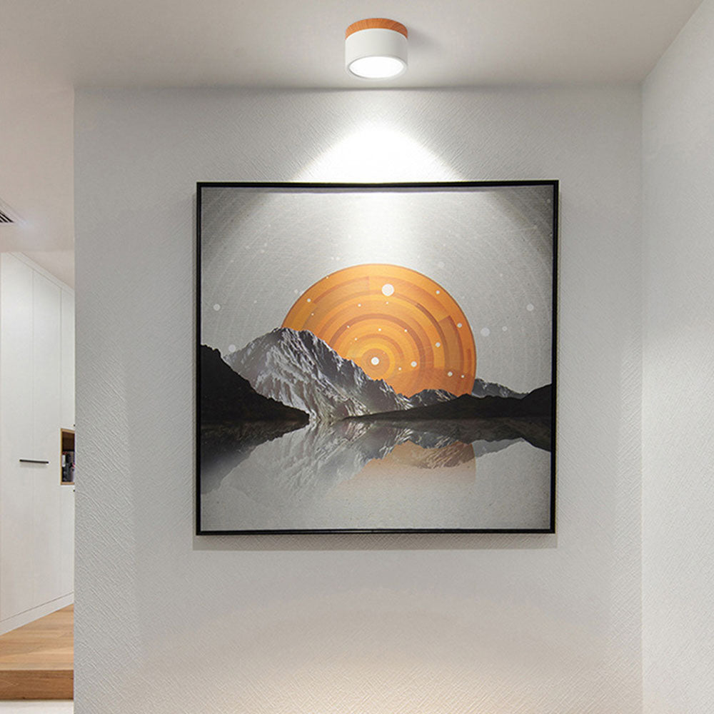 Surface Mounted Flush Mount Ceiling Light LED Lighting