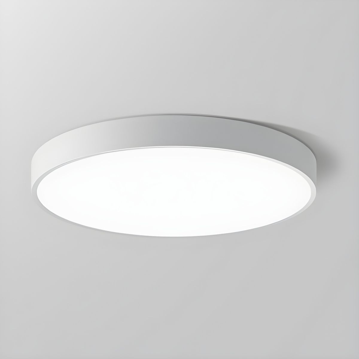 Flush Mount Ceiling Light LED Lighting