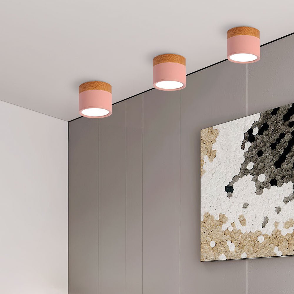 Surface Mounted Flush Mount Ceiling Light LED Lighting