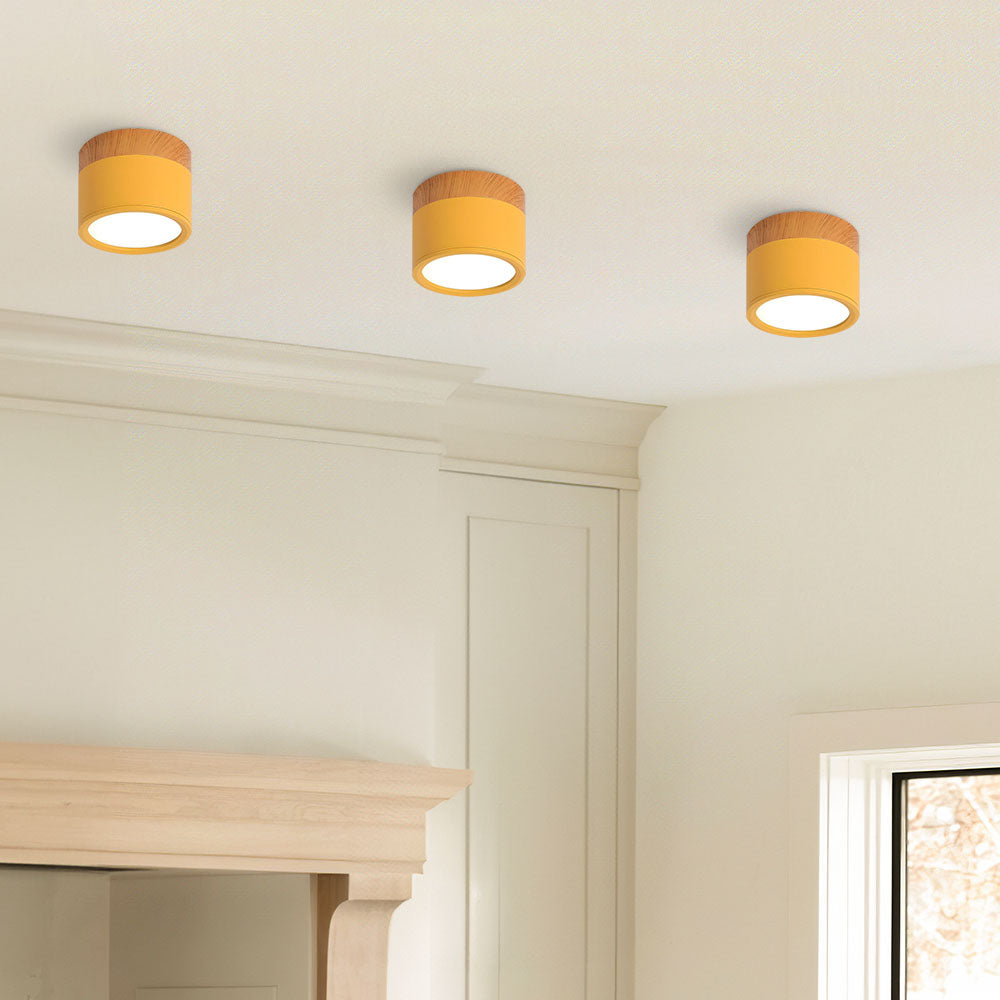 Surface Mounted Flush Mount Ceiling Light LED Lighting