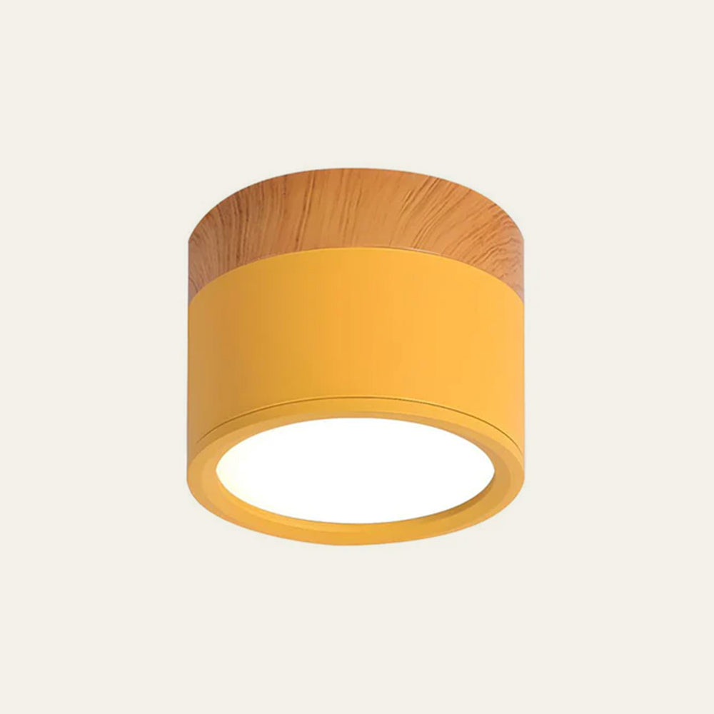 Surface Mounted Flush Mount Ceiling Light LED Lighting