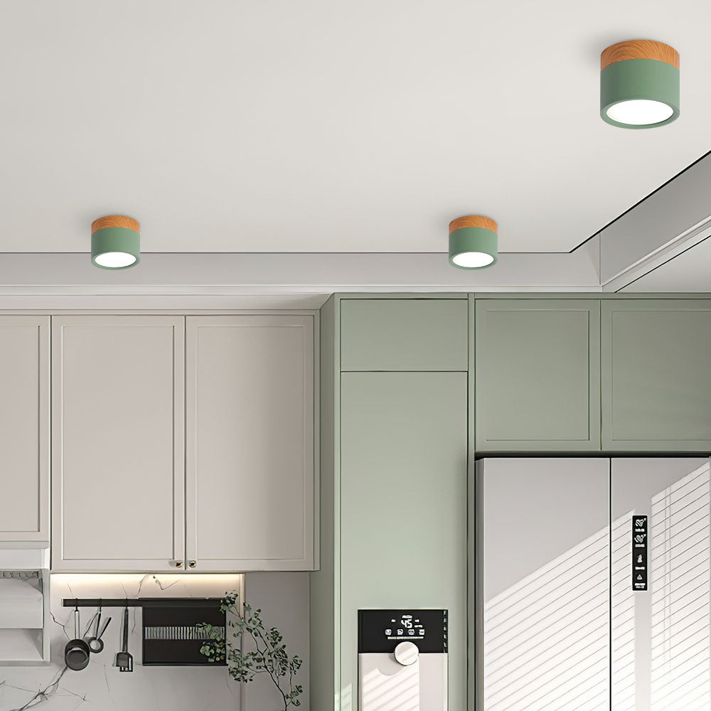 Surface Mounted Flush Mount Ceiling Light LED Lighting