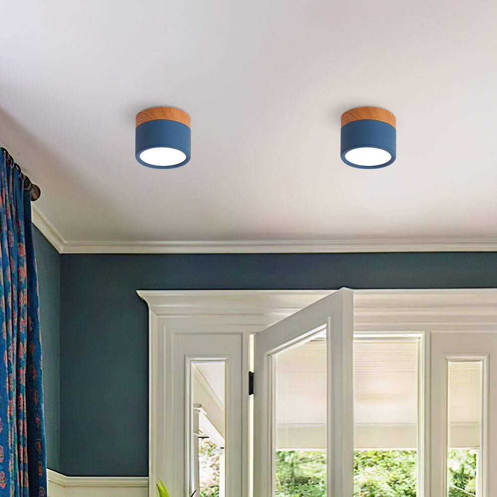 Surface Mounted Flush Mount Ceiling Light LED Lighting
