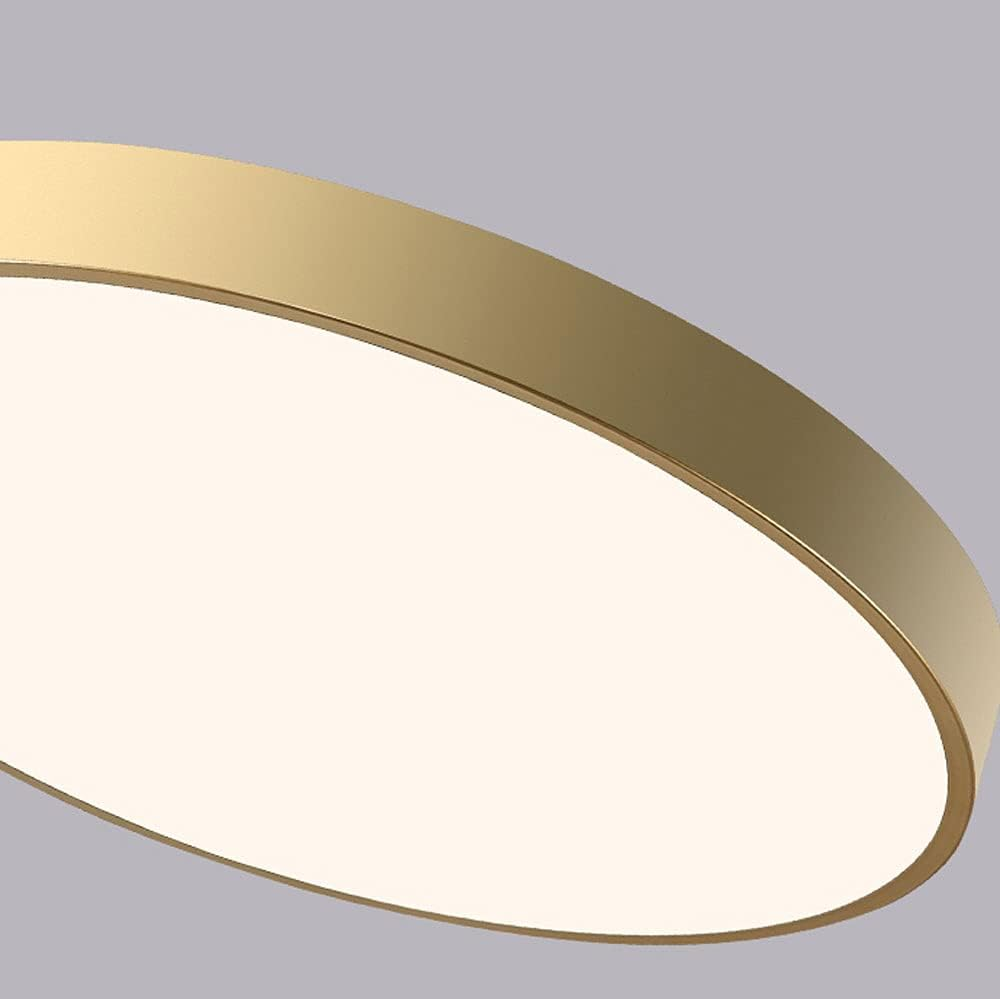 Flush Mount Ceiling Light LED Lighting
