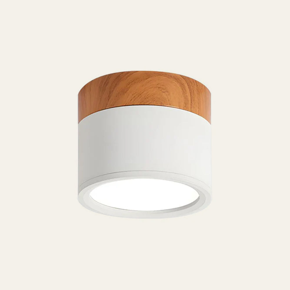 Surface Mounted Flush Mount Ceiling Light LED Lighting