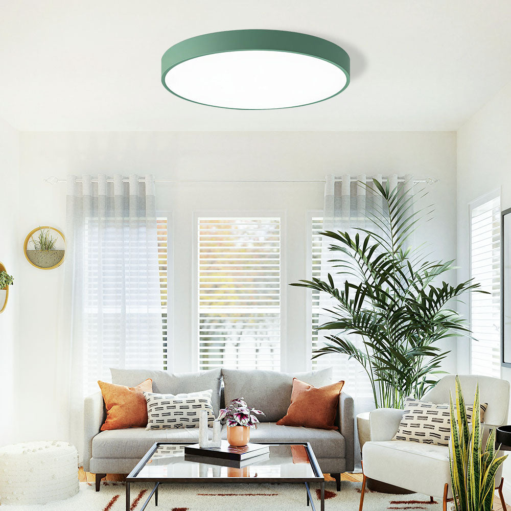 Flush Mount Ceiling Light LED Lighting