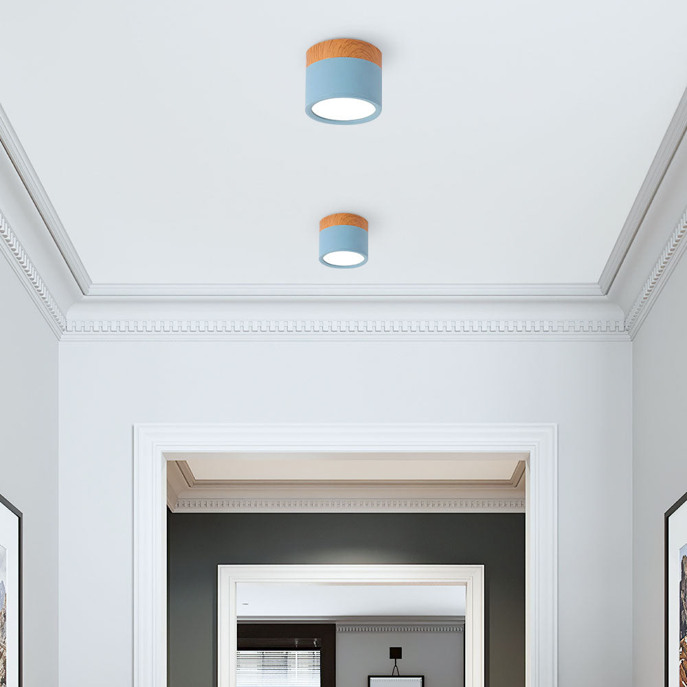 Surface Mounted Flush Mount Ceiling Light LED Lighting