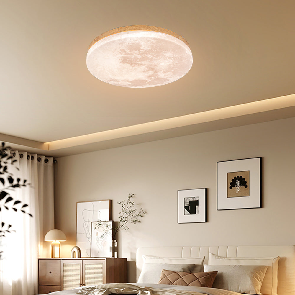 Flush Mount Round Frosted Ceiling Light