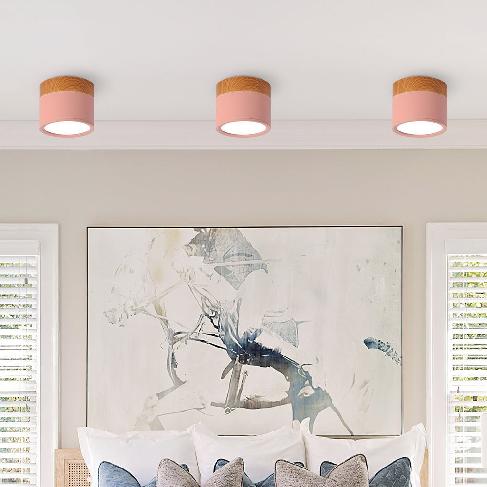 Surface Mounted Flush Mount Ceiling Light LED Lighting