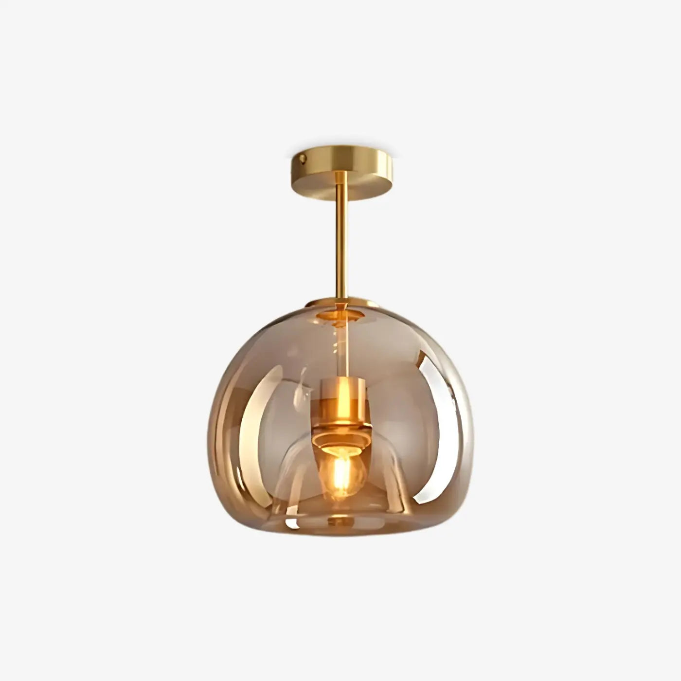 Round Pendant Ceiling Light LED Lighting