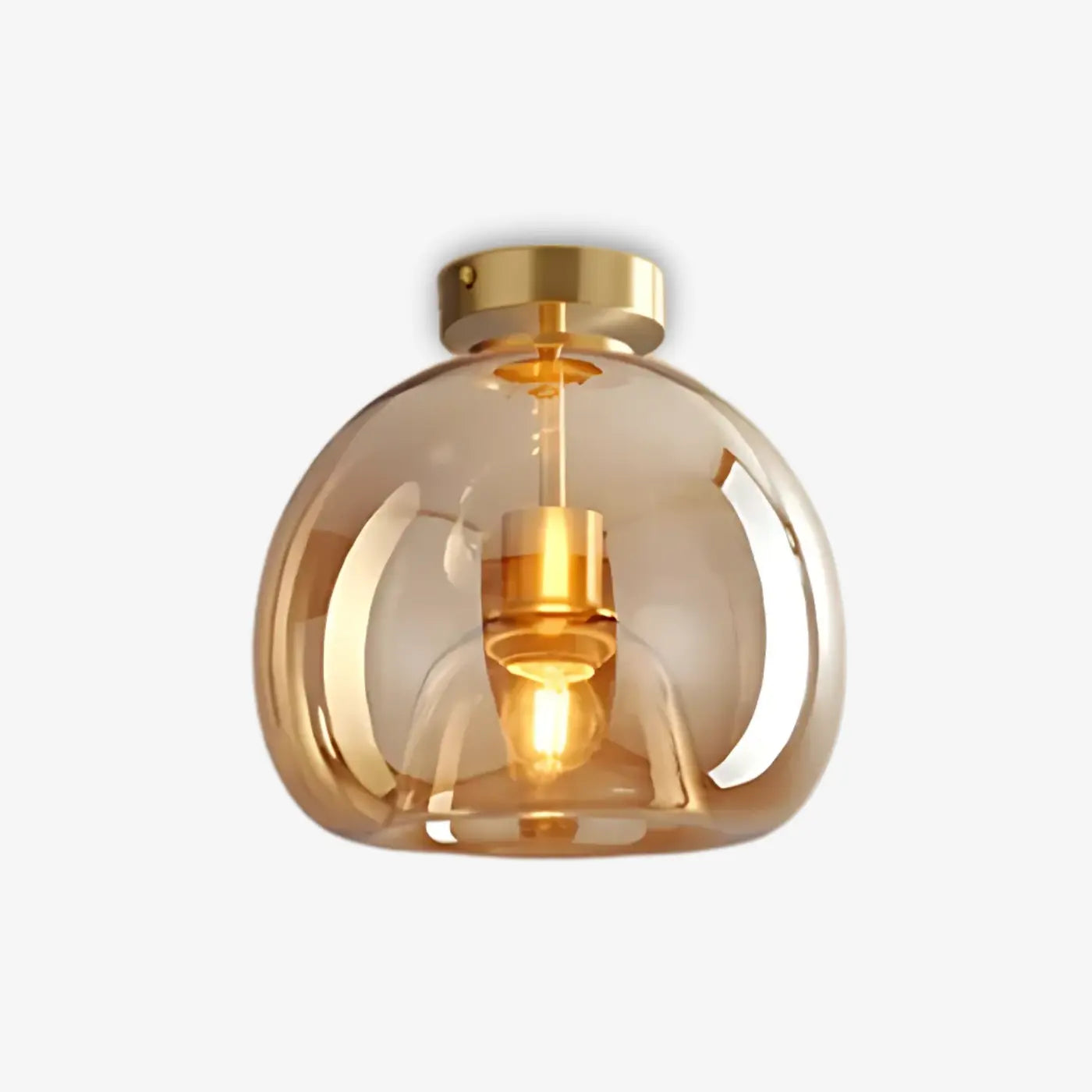 Round Pendant Ceiling Light LED Lighting