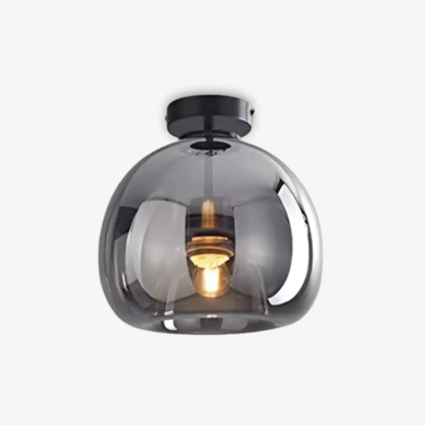 Round Pendant Ceiling Light LED Lighting