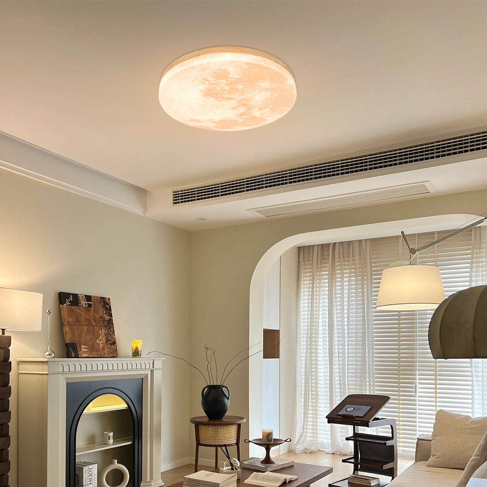 Flush Mount Round Frosted Ceiling Light