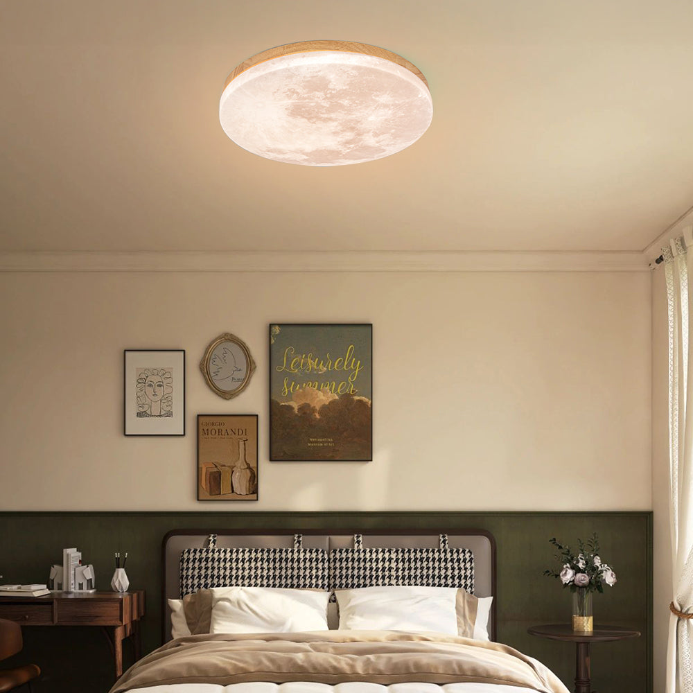 Flush Mount Round Frosted Ceiling Light