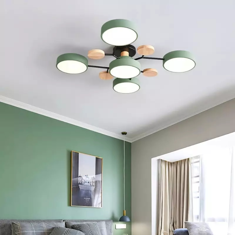 Flush Mount Ceiling Light Ring Design