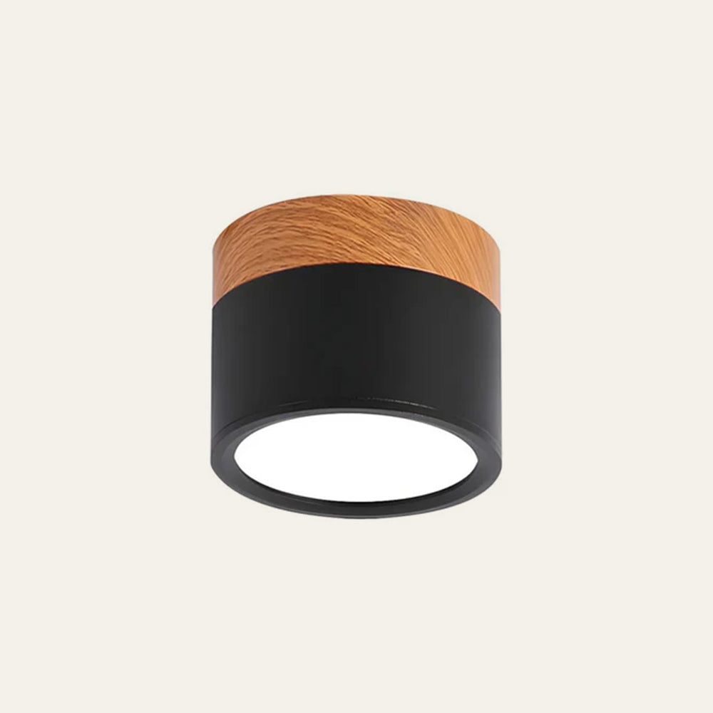 Surface Mounted Flush Mount Ceiling Light LED Lighting