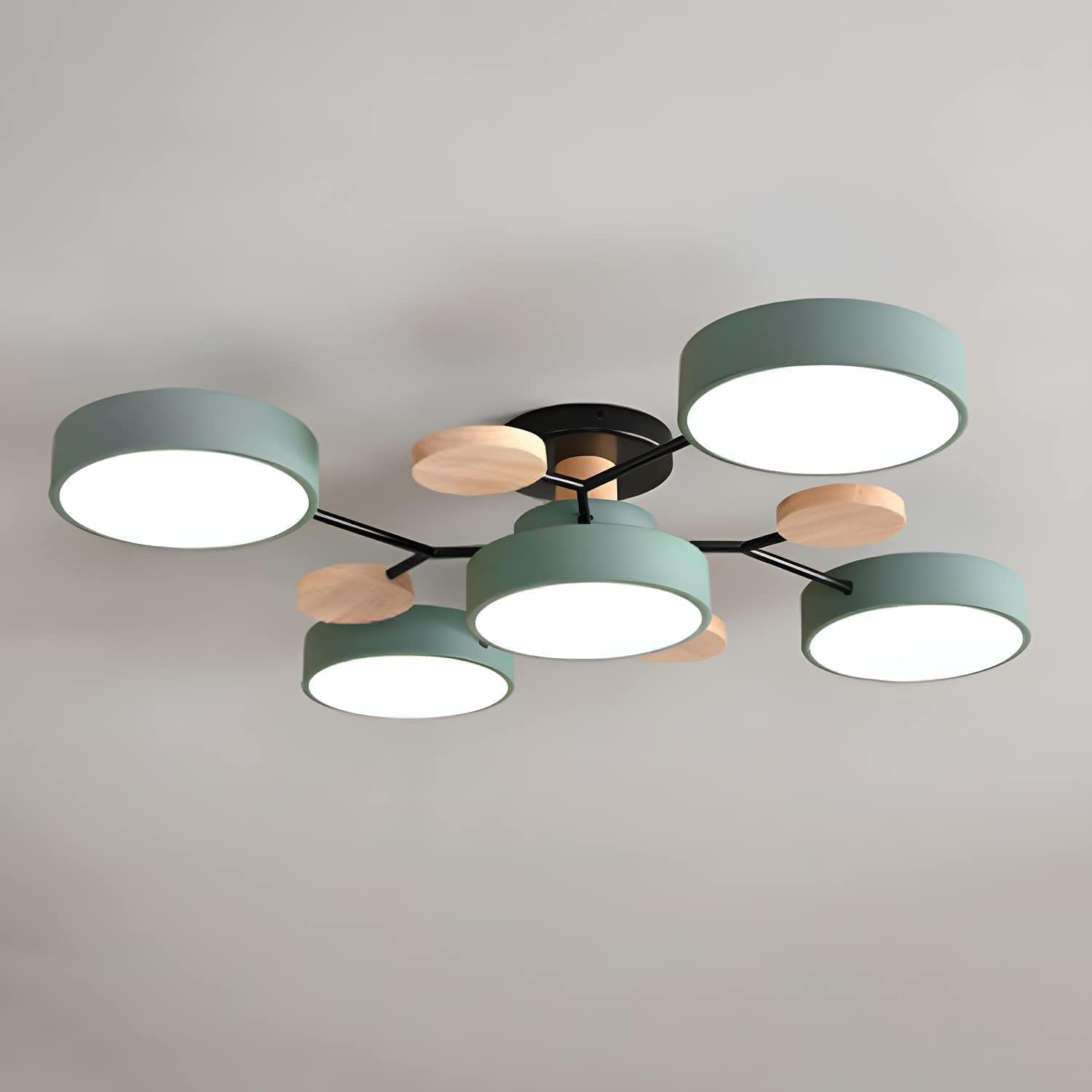 Flush Mount Ceiling Light Ring Design