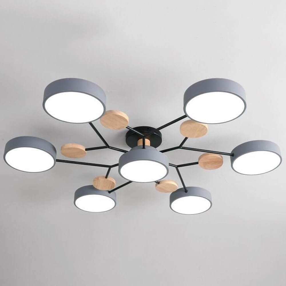 Flush Mount Ceiling Light Ring Design