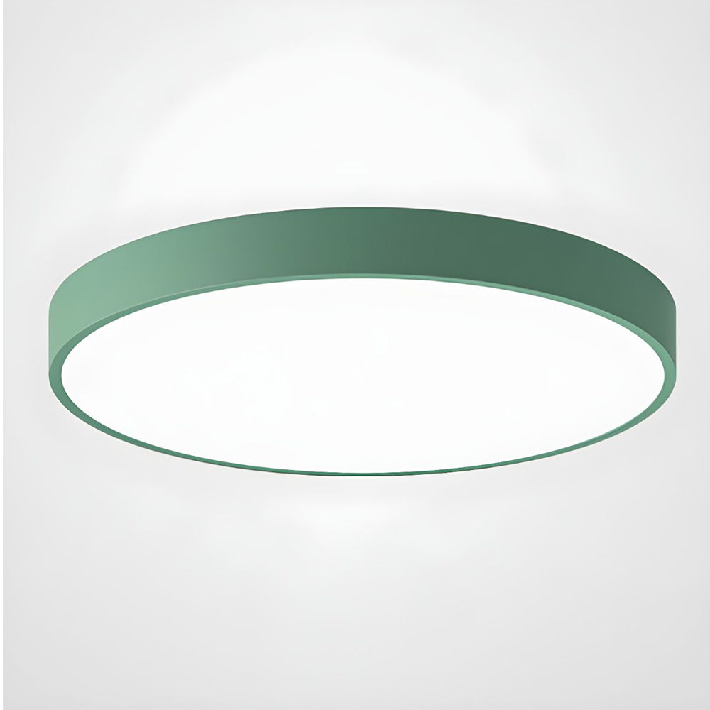 Flush Mount Ceiling Light LED Lighting