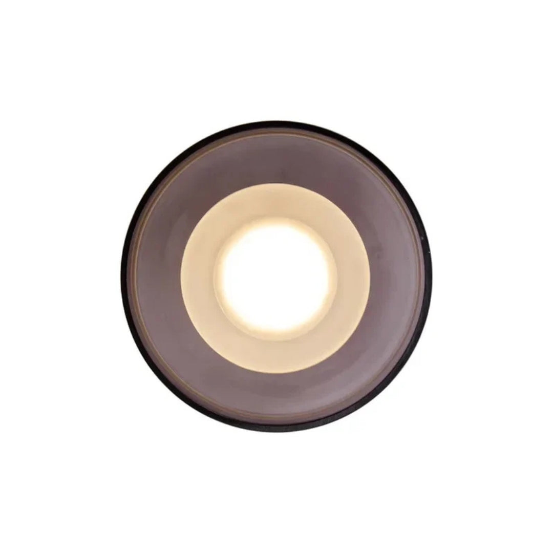 Round Flush Mount Wall Ceiling Light