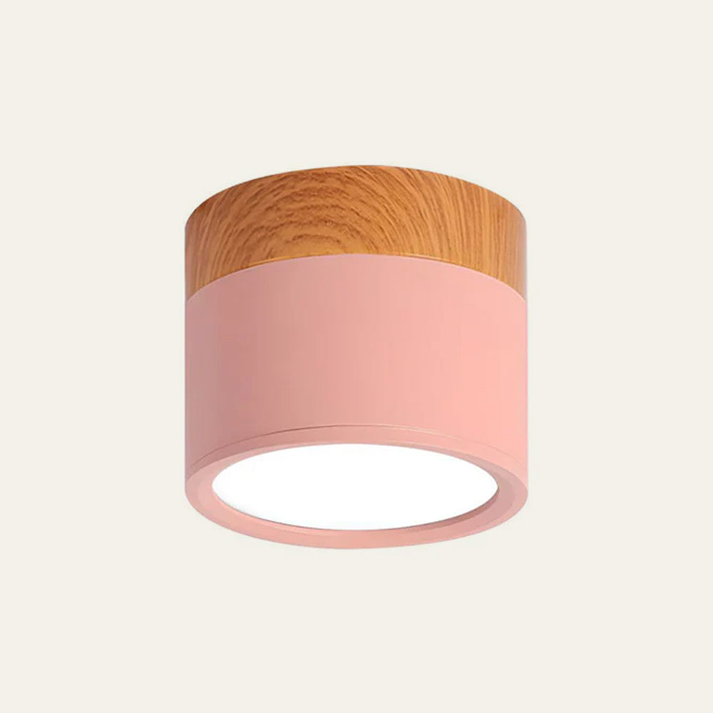 Surface Mounted Flush Mount Ceiling Light LED Lighting