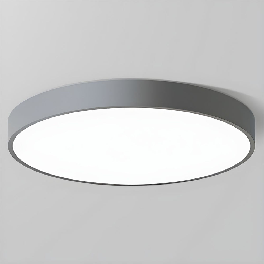 Flush Mount Ceiling Light LED Lighting