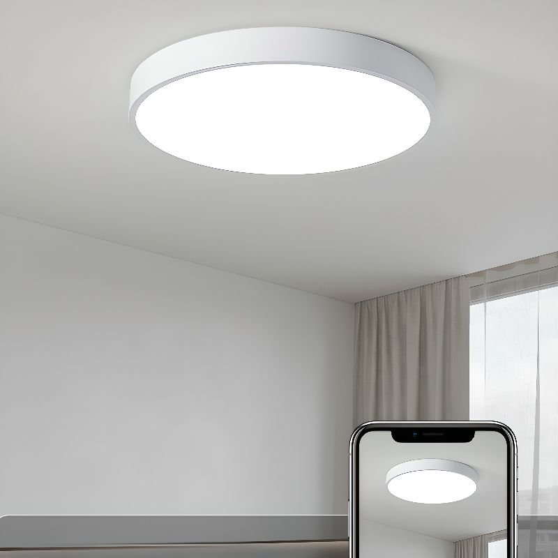 Flush Mount Ceiling Light LED Lighting
