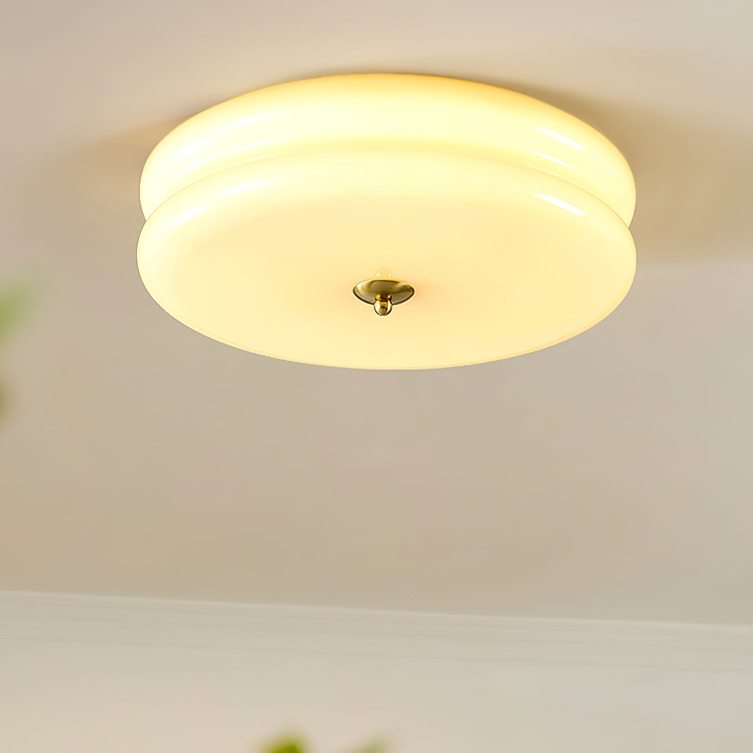 Flush Mount Dimmable Round Ceiling Light