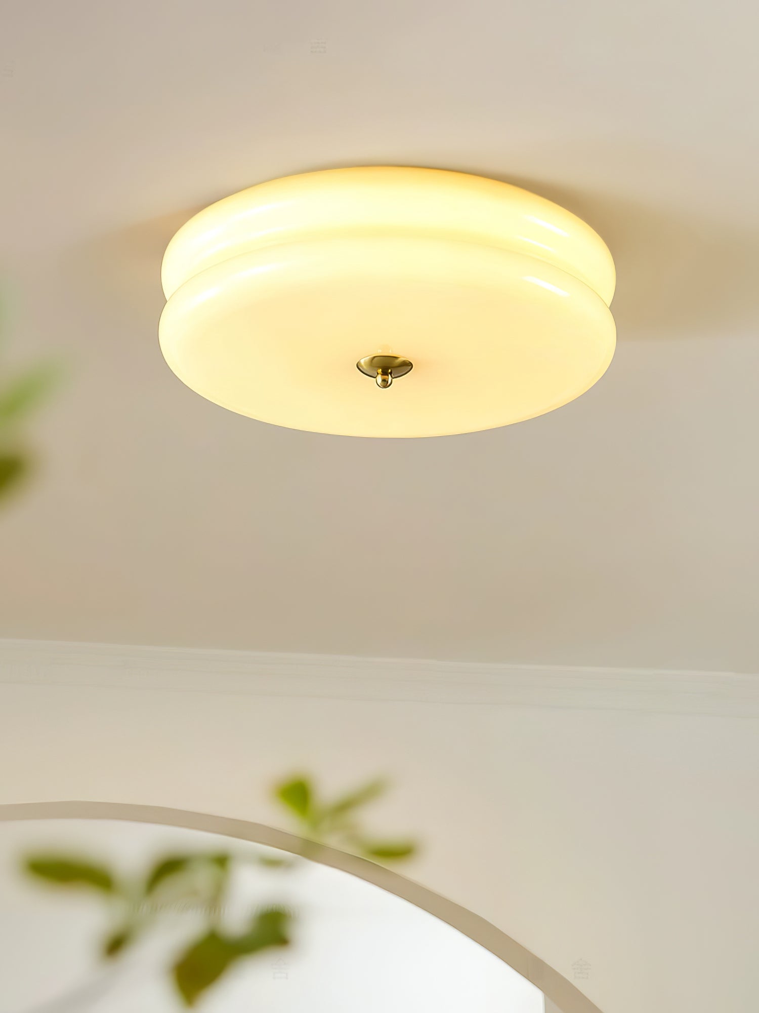 Flush Mount Dimmable Round Ceiling Light