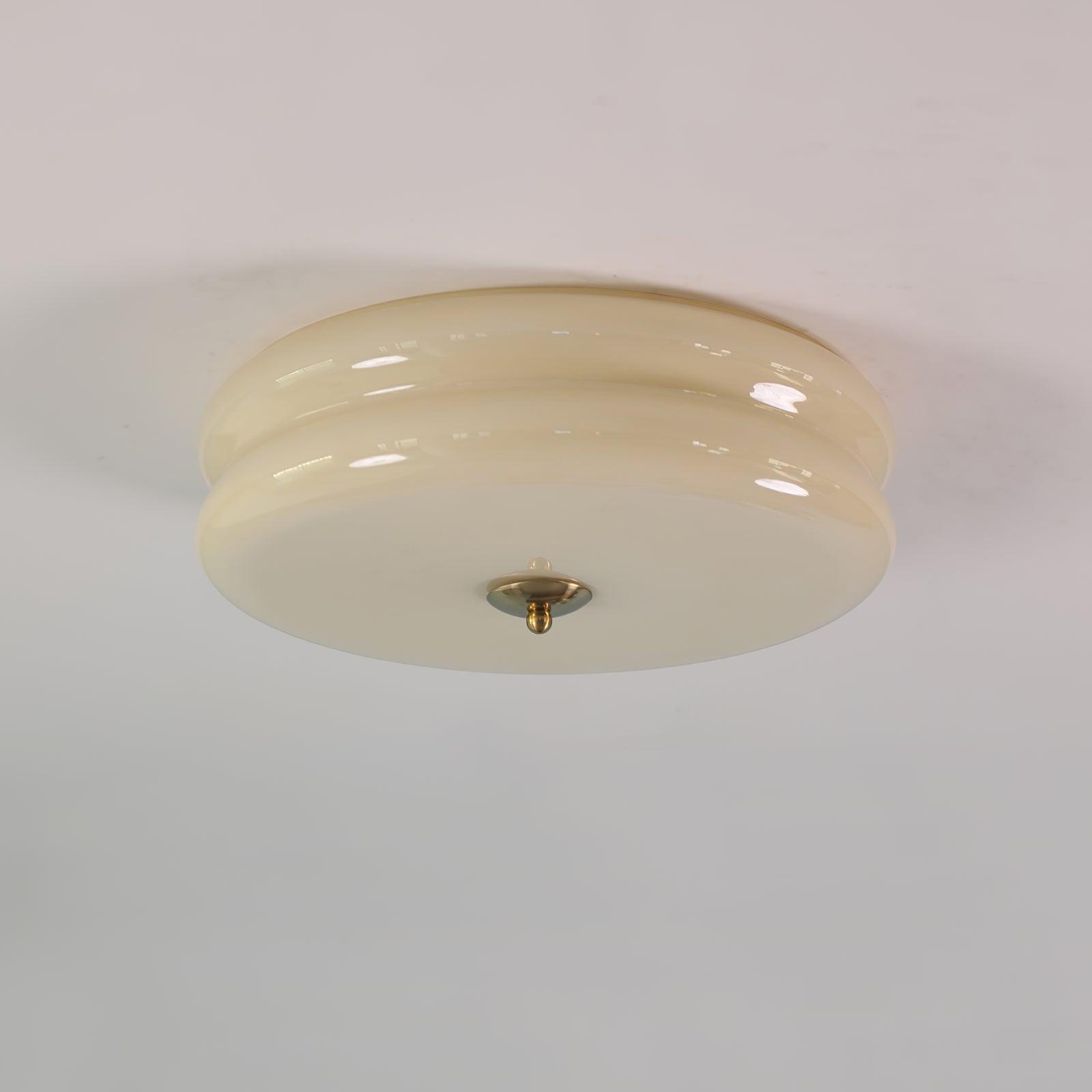 Flush Mount Dimmable Round Ceiling Light