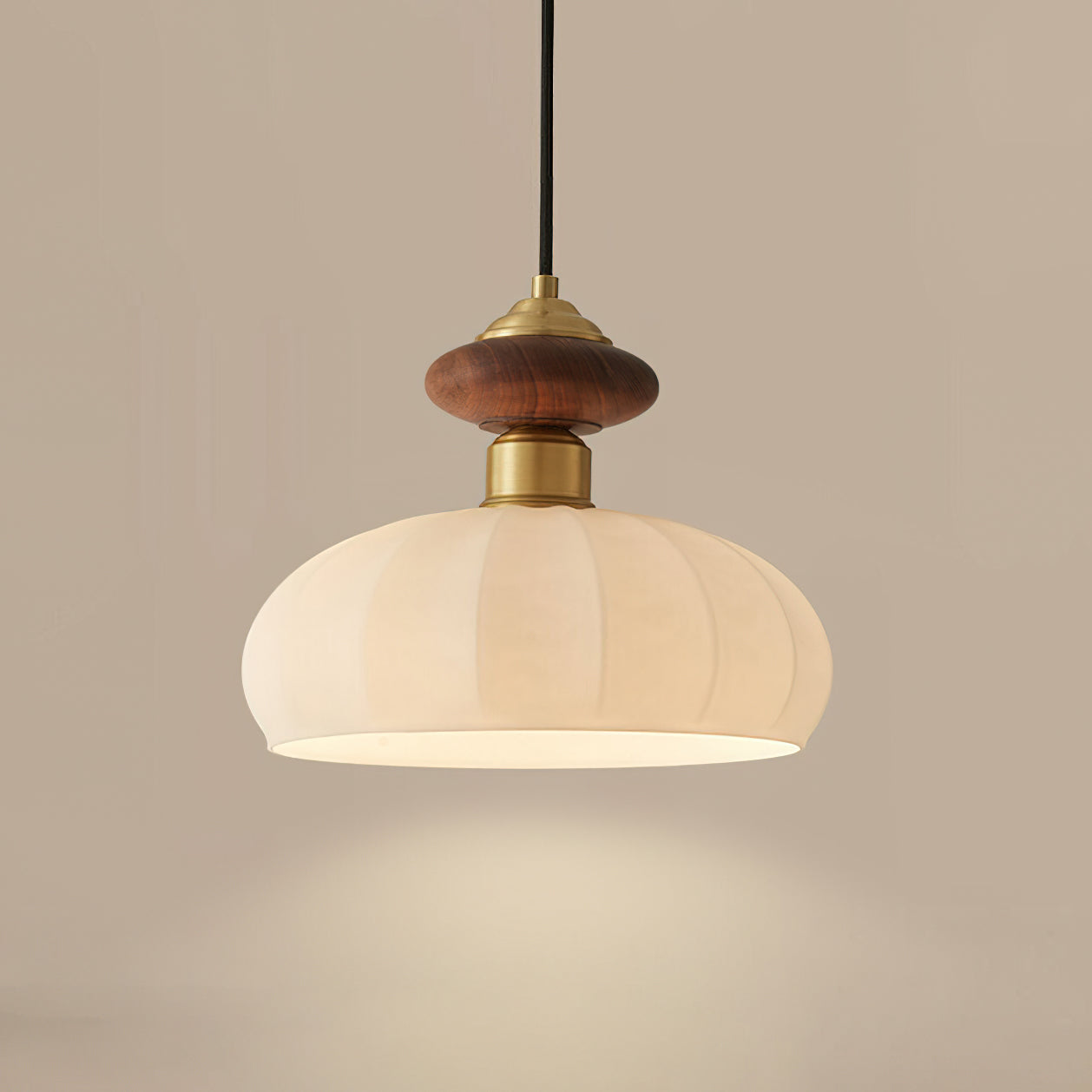 Single Hanging Round Ceiling Light