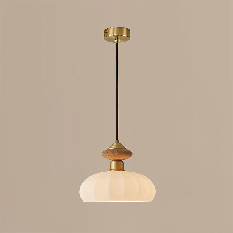 Single Hanging Round Ceiling Light