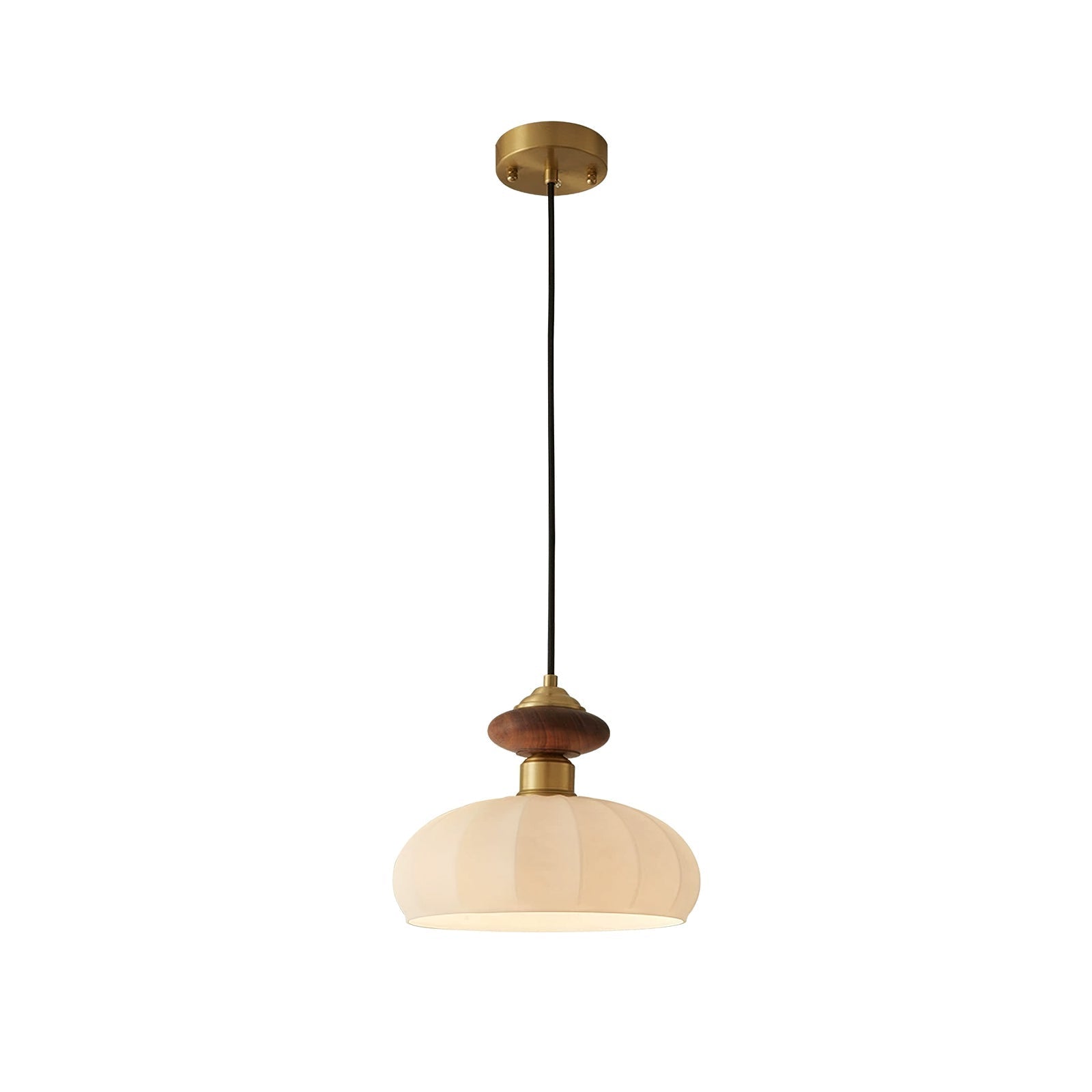 Single Hanging Round Ceiling Light