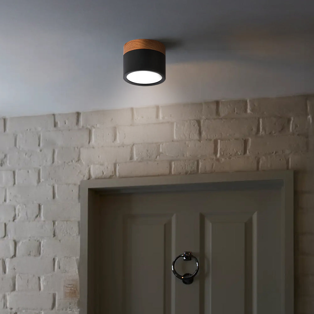 Surface Mounted Flush Mount Ceiling Light LED Lighting