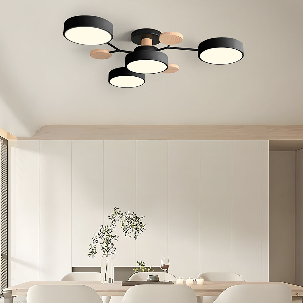 Flush Mount Ceiling Light Ring Design
