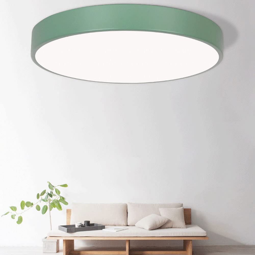 Flush Mount Ceiling Light LED Lighting