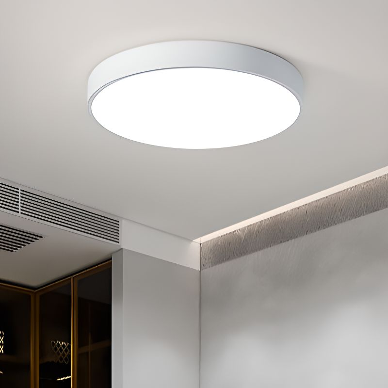 Flush Mount Ceiling Light LED Lighting
