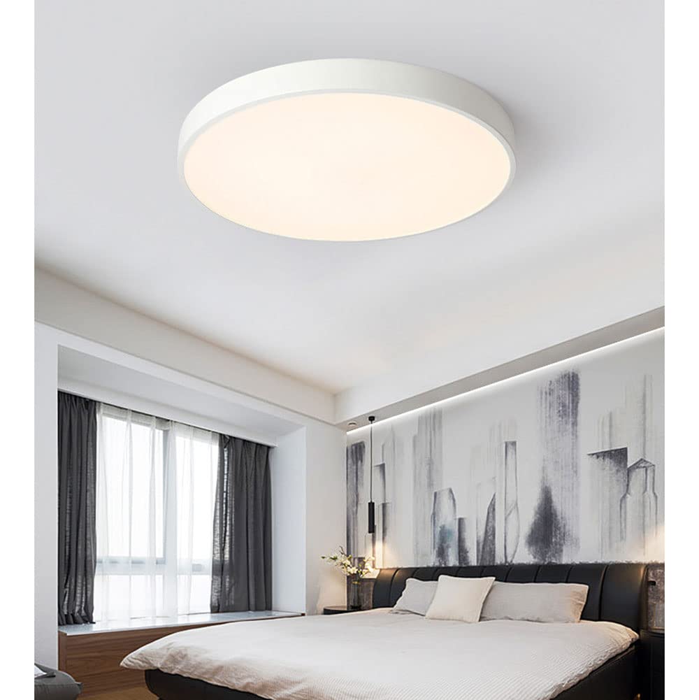 Flush Mount Ceiling Light LED Lighting