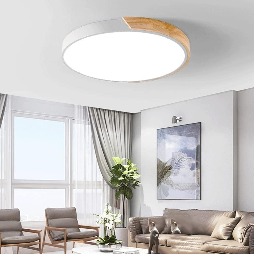 Low Profile Flush Mount Ceiling Light Dimmable Lighting