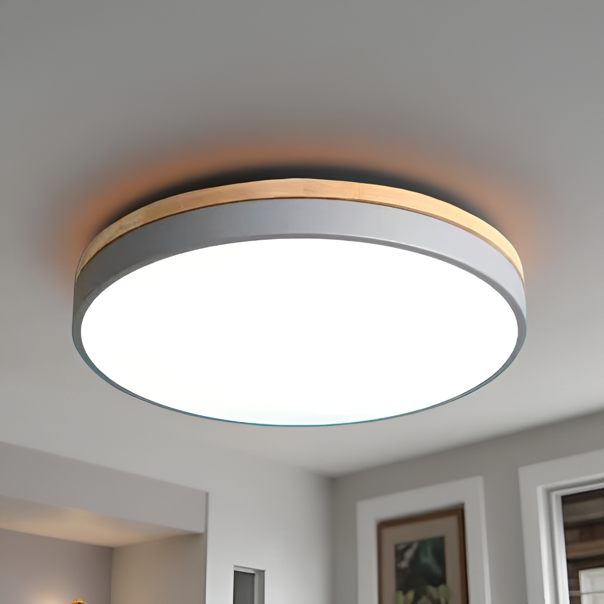 Flush Mount Ceiling Light Ring Configuration