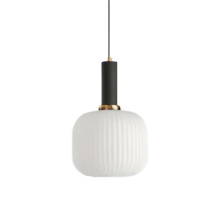 Single Pendant Ceiling Light