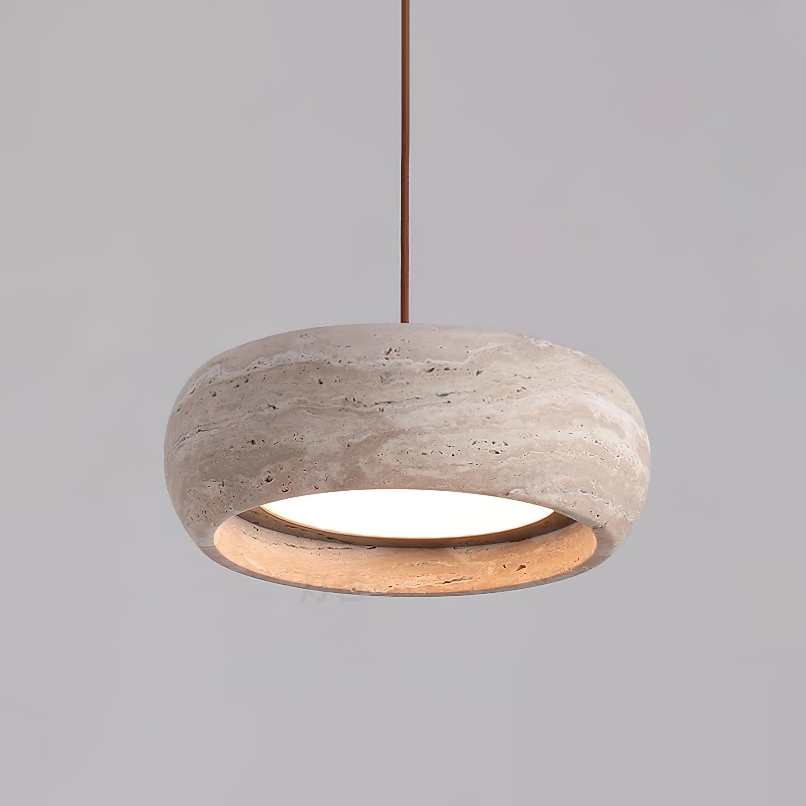 Ring Pendant Ceiling Light
