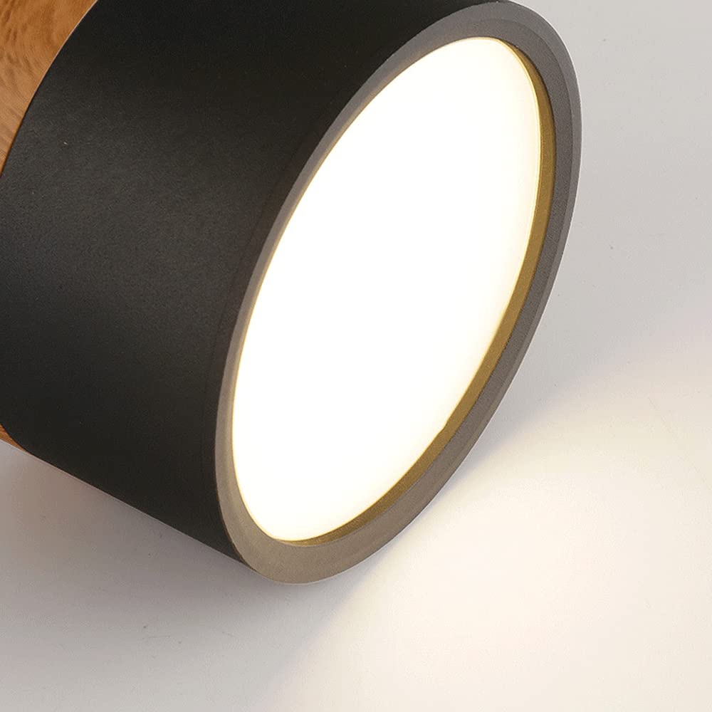 Surface Mounted Flush Mount Ceiling Light LED Lighting